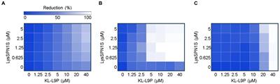 Development of sensitizer peptide-fused endolysin Lys1S-L9P acting against multidrug-resistant gram-negative bacteria